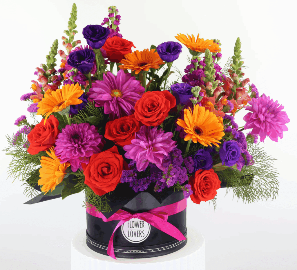 web design melbourne