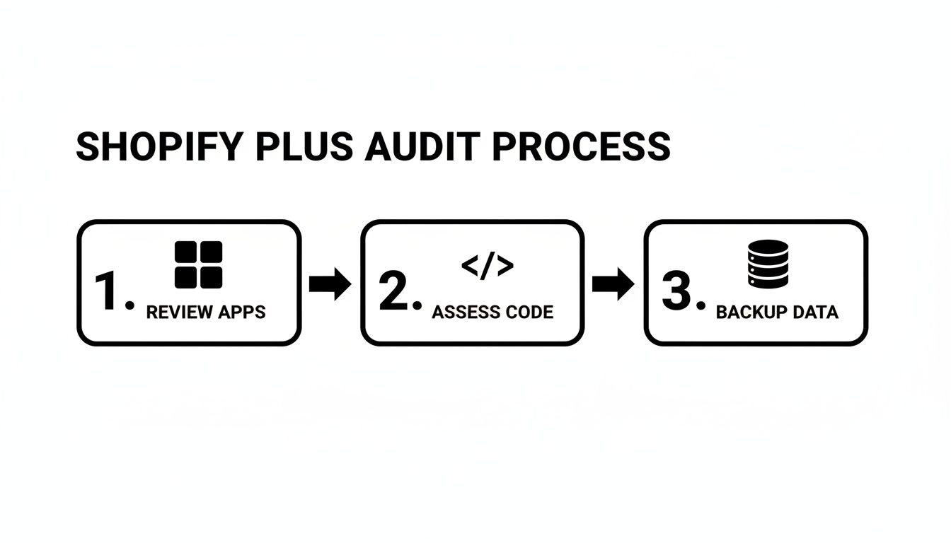 A diagram illustrating the Shopify Plus audit process with three steps: Review Apps, Assess Code, and Backup Data.
