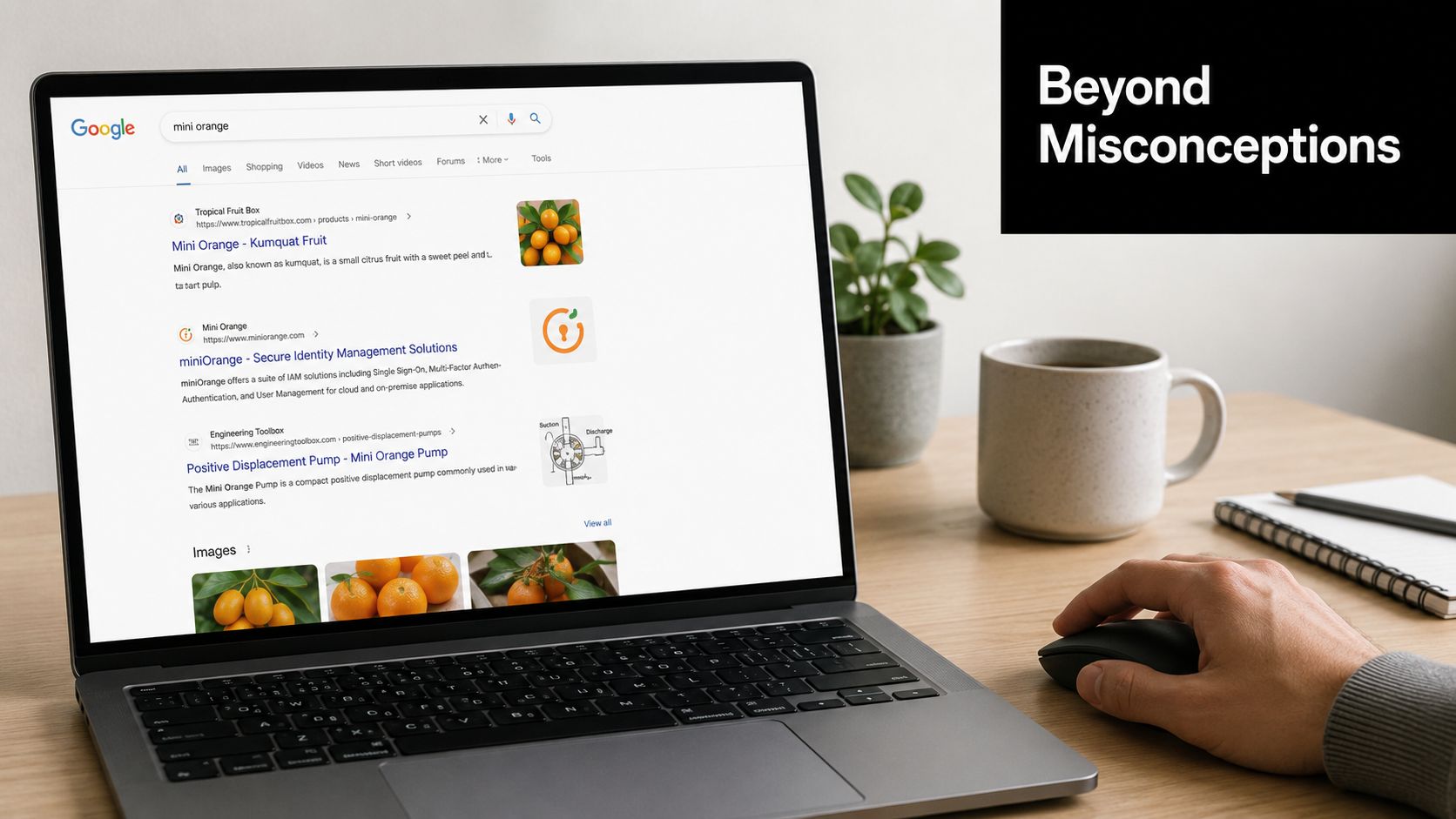 A person using a laptop with a Google search for mini orange displayed on the screen