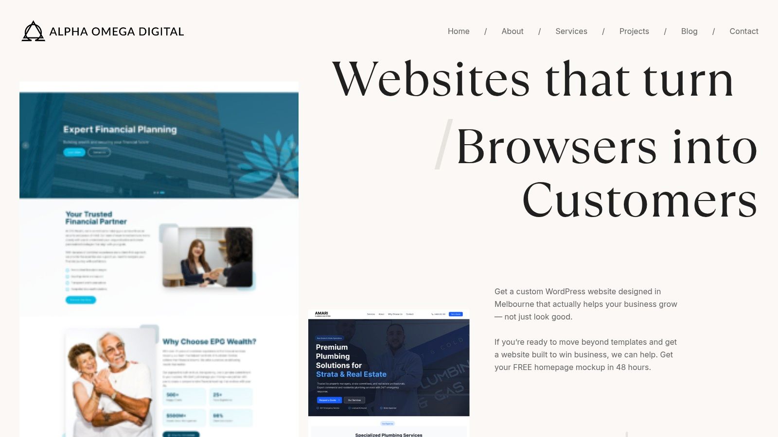 Screenshot from https://alphaomegadigital.com.au/web-design-melbourne/